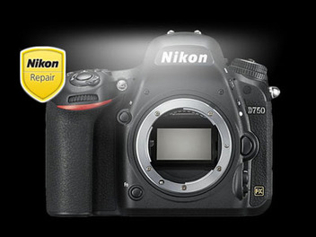 Nikon D750耀光問題解決方案：以產品序號、機底黑點，判斷是否需要送回檢測