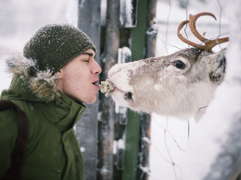 芬蘭年輕攝影師Konsta Punkka與森林中那些迷人的動物們