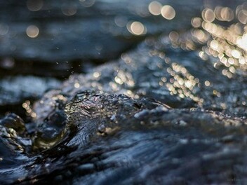 拍攝水面反射的創意 Digiphoto