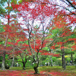 Fb95f73b97d29135f6dd6e75575f69e9