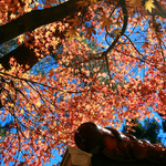 78bf39811da5b58d2eed8924acfa7e15