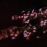 A3f2f9ccf0153bd4a84e174a3fe7c4ec