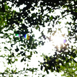 81ba5defaaf7db6ea932bbe73dc9409a