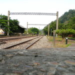 Af0ee4caf9313af062db1ff926e0c346