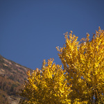 Baf4bb53be2222eff20091cccd535e5c