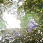 64a526c5ec7d88e922899fdccbc8b589