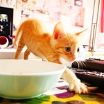 D3d64cbd664104651fe0d4b3f182540f