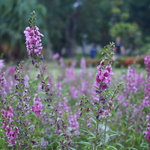 79c3c6d24f9739f3c70251b373a8370d