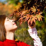 4bc2e77dec424a4bee18bfa99c836339