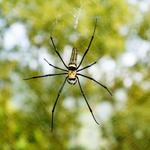 011515627ffa6e5d23ecdccc04ab0eba