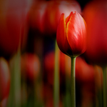 7e34646bd4f335fce1161a14664aadd4