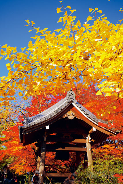 紅葉國度京都賞楓行 器材準備 旅遊動線 上 第3 頁 Digiphoto