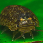 2a593d387d139609c9f584ce1b1a5628