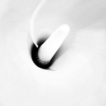 37274f8b0ecd6a1366c2e387401bf15d