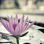 A35b6cbcd358981aae08780d3760d710