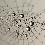 1f6cf0ad2c542fff11761a4a339b5f01