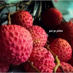 C5bb830089158cf47d1d77be9d492fac