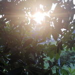 887679955d7c8d12bcbd2a0e8eb66775