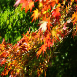 Ee4de62364e7124dcbe3b5b032352dae