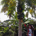 828a98a88558192f0b1521acfe5515a2