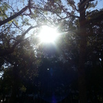 54a66954f3887ef52d613dacc7d4306f