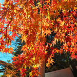 C4d001a224819ded08d448c539acfdf9