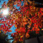 A8ed0c0c9a322dbde453f1fb78f93ef5