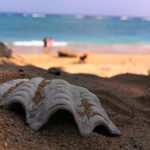 3b65f571f6209406075aff9fa1c3319d