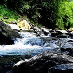 F1d81fd8fb594ca4c14e1dfd8f450c85