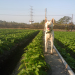 9d9e7e41dd69f5acc624be37246f41f4