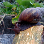 151d937499a86af3447c290a49001901