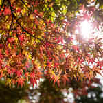 B6642f69f65a7937235f45b233e2c058