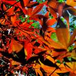 12b4589e51a24d1d8a9c13935578c3a0