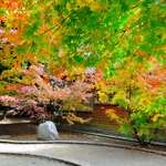 41bf38732531667f4e59446b430db7d8