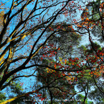 A1842e28f3cd58ddd5f9a5b98544a8d6