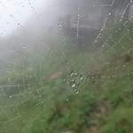 Ddc952ac6d5004448cbb901cd30514f7