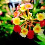 Fb756fc3c13dd03119033bca5663029f