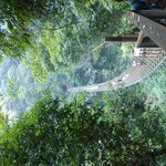 D3420fd07af724878696a8503180ac63