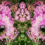 9f40a6bfb81e62a06b403cbc2f8c7fa7