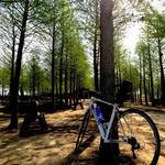 3da1a6cdf4c529cadacd8f89e4f5b66f