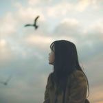 C0cdd187f827e0acb23066b71394eab2