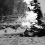 095050609274e0b6a653cee52deb9a72