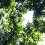 C5e5aa1172f951694dc8b74ff016f13b