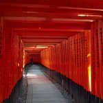 1f6cddc2c1b44bc2fff87c6faa7a4f94