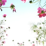 F3c7a9ea0e480a2cccd3493d689cfcfe