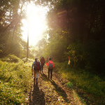 E05ff0c08ff7cd244ef7003698791714