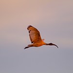 73067bd60b47d4548ceb82d08d4cac8c