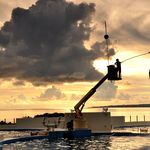 F11b988f108c8b47bb303ffd76a7beaf