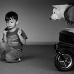 8552288fc5a3b606418bcf083235aa3f