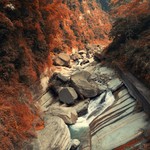 66f5c99cc623e3c8ad72489306fb3ed8